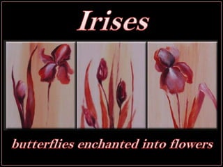 Irises butterfliesenchantedintoflowers 