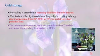 Cooling Process Roses Storage Iris flower | PPTX