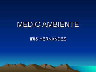 MEDIO AMBIENTE IRIS HERNANDEZ 