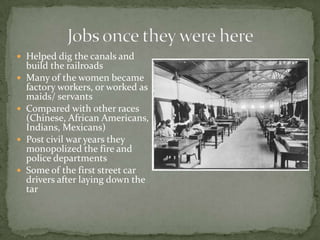 Jobs once they were hereHelped dig the canals and build the railroadsMany of the women became factory workers, or worked as maids/ servants Compared with other races (Chinese, African Americans, Indians, Mexicans)Post civil war years they monopolized the fire and police departmentsSome of the first street car drivers after laying down the tar