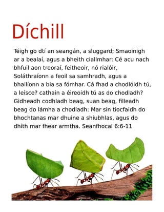 Irish Motivational Diligence Tract.pdf