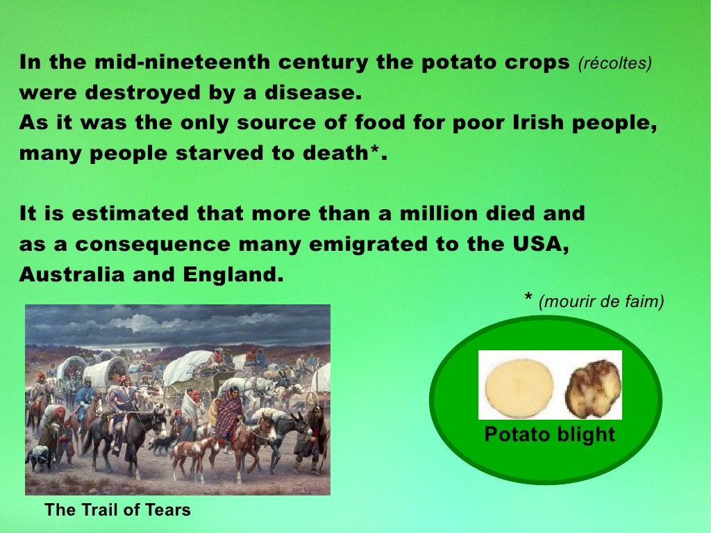 Irish Potato Famine irish-potato-famine