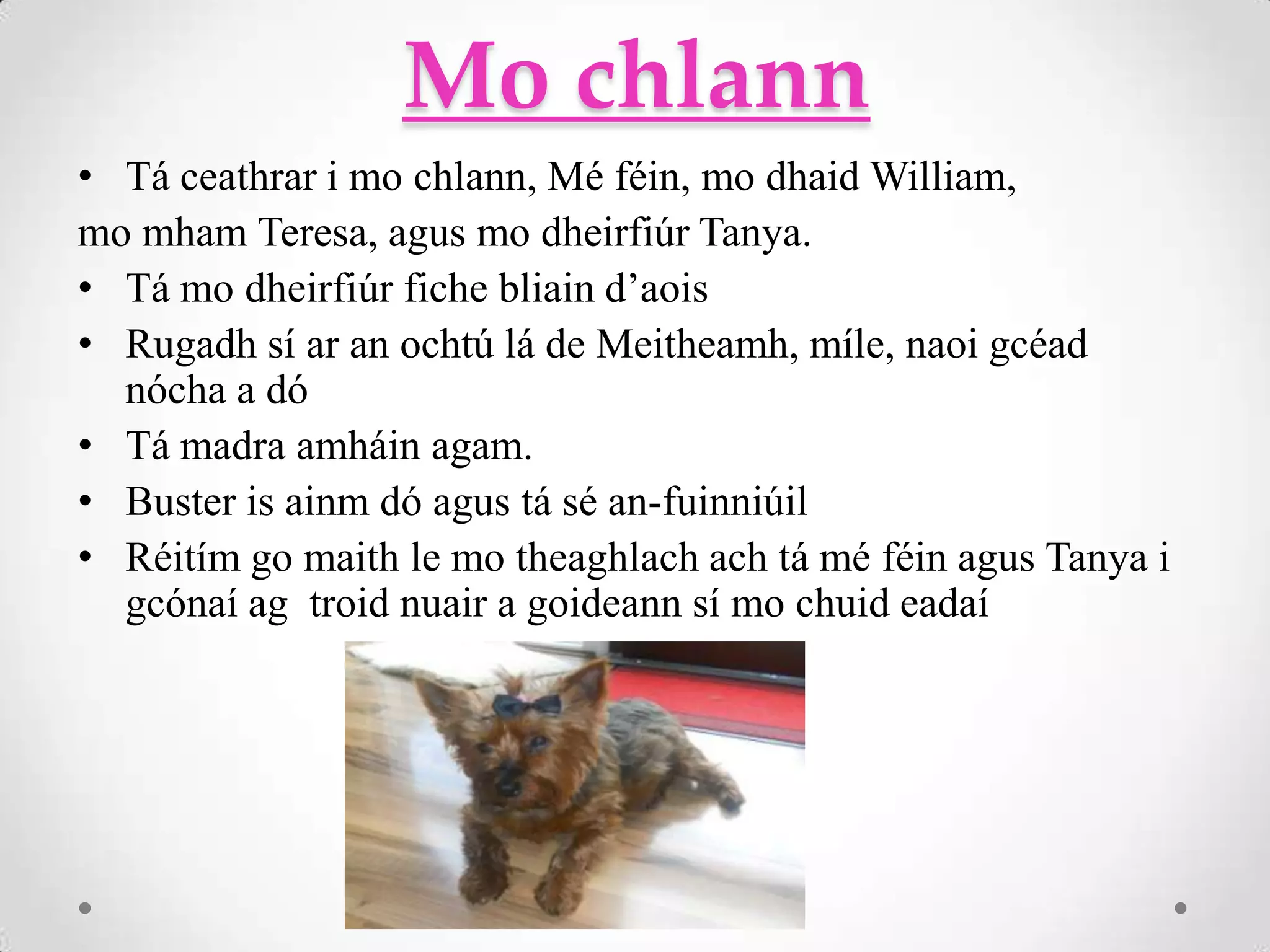 Mo chlann
• Tá ceathrar i mo chlann, Mé féin, mo dhaid William,
mo mham Teresa, agus mo dheirfiúr Tanya.
• Tá mo dheirfiúr fiche bliain d’aois
• Rugadh sí ar an ochtú lá de Meitheamh, míle, naoi gcéad
  nócha a dó
• Tá madra amháin agam.
• Buster is ainm dó agus tá sé an-fuinniúil
• Réitím go maith le mo theaghlach ach tá mé féin agus Tanya i
  gcónaí ag troid nuair a goideann sí mo chuid eadaí
 