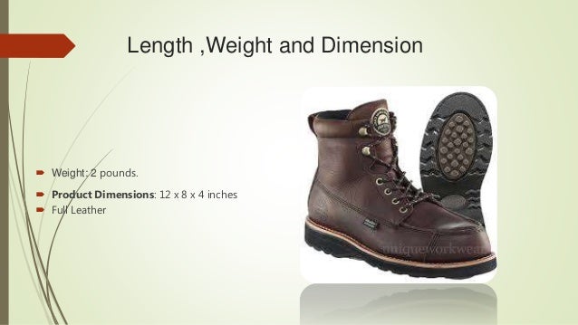irish setter 807