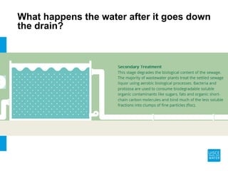 What happens the water after it goes down
the drain?
 