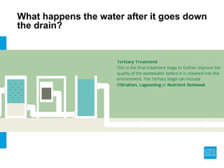 What happens the water after it goes down
the drain?
 