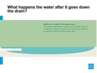 What happens the water after it goes down
the drain?
 