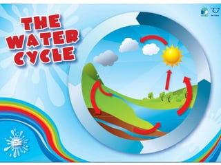 The Water Cycle
 