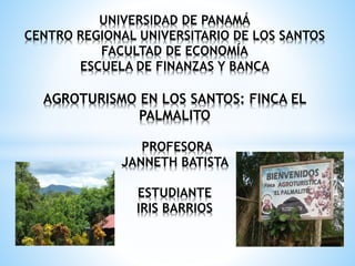 UNIVERSIDAD DE PANAMÁ
CENTRO REGIONAL UNIVERSITARIO DE LOS SANTOS
FACULTAD DE ECONOMÍA
ESCUELA DE FINANZAS Y BANCA
AGROTURISMO EN LOS SANTOS: FINCA EL
PALMALITO
PROFESORA
JANNETH BATISTA
ESTUDIANTE
IRIS BARRIOS
 