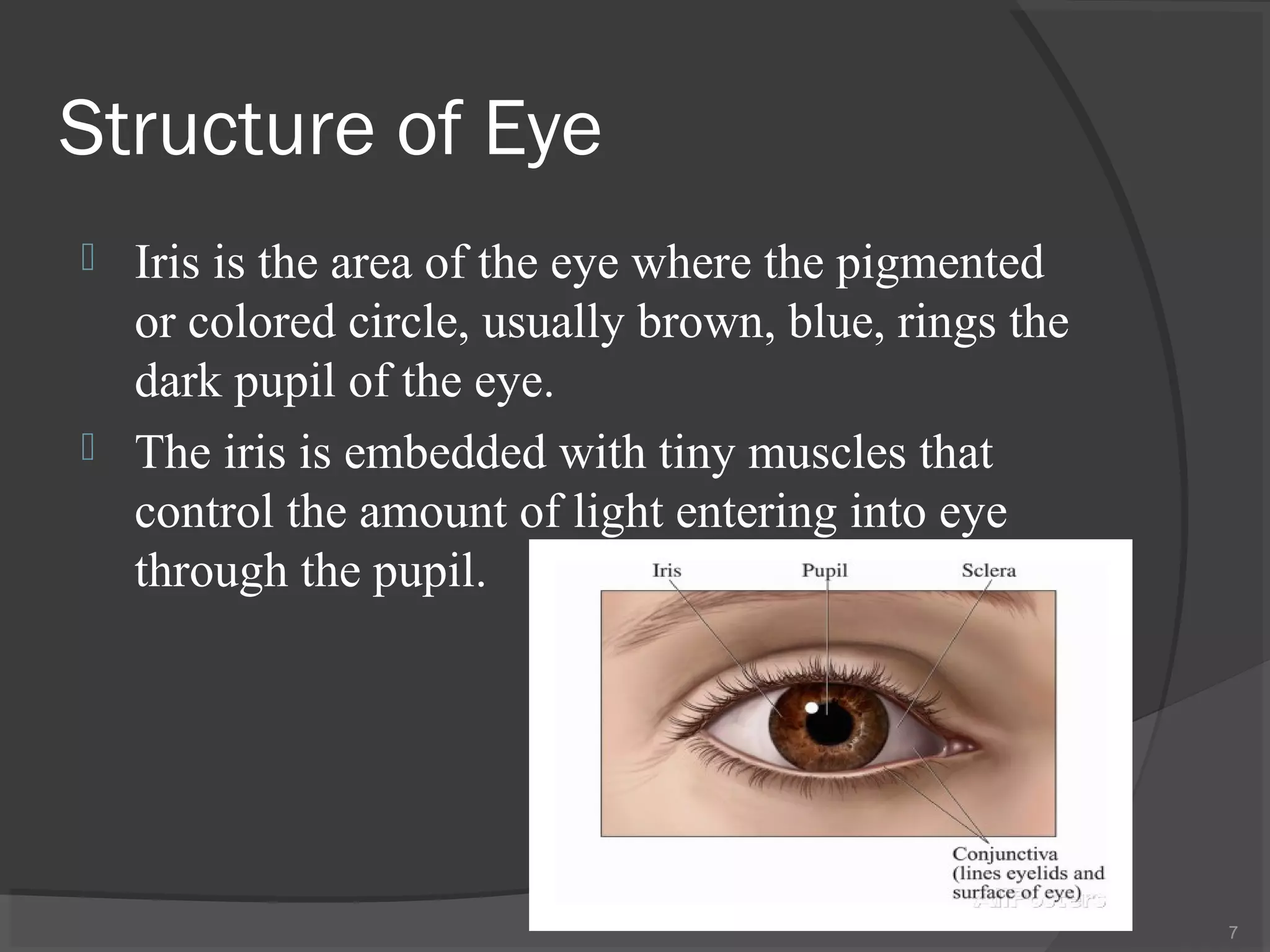 Structure of Eye
 Iris is the area of the eye where the pigmented
or colored circle, usually brown, blue, rings the
dark pupil of the eye.
 The iris is embedded with tiny muscles that
control the amount of light entering into eye
through the pupil.
7
 