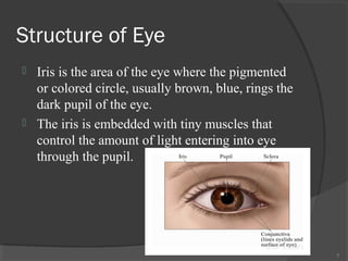 Structure of Eye
 Iris is the area of the eye where the pigmented
or colored circle, usually brown, blue, rings the
dark pupil of the eye.
 The iris is embedded with tiny muscles that
control the amount of light entering into eye
through the pupil.
7
 