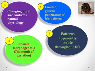 Changing pupil
size confirms
natural
physiology
Pre-natal
morphogenesis
(7th month of
gestation)
Limited
genetic
penetrance of
iris patterns
Patterns
apparently
stable
throughout life
4
5
6
7
 