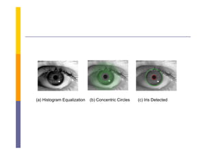 (a) Histogram Equalization   (b) Concentric Circles   (c) Iris Detected
 
