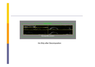 Iris Strip after Decomposition
 