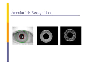 Annular Iris Recognition
 