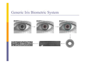 Generic Iris Biometric System
 