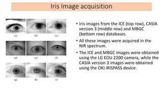 • Iris images from the ICE (top row), CASIA
version 3 (middle row) and MBGC
(bottom row) databases.
• All these images wer...