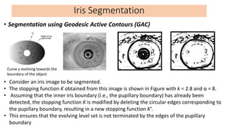Iris Segmentation
• Segmentation using Geodesic Active Contours (GAC)
Curve γ evolving towards the
boundary of the object
...
