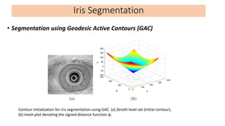 • Segmentation using Geodesic Active Contours (GAC)
Iris Segmentation
Contour initialization for iris segmentation using G...
