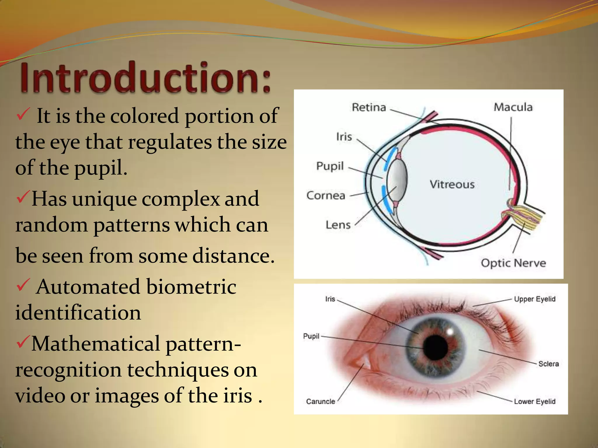 It is the colored portion of
the eye that regulates the size
of the pupil.
Has unique complex and
random patterns which can
be seen from some distance.
 Automated biometric
identification
Mathematical pattern-
recognition techniques on
video or images of the iris .
 