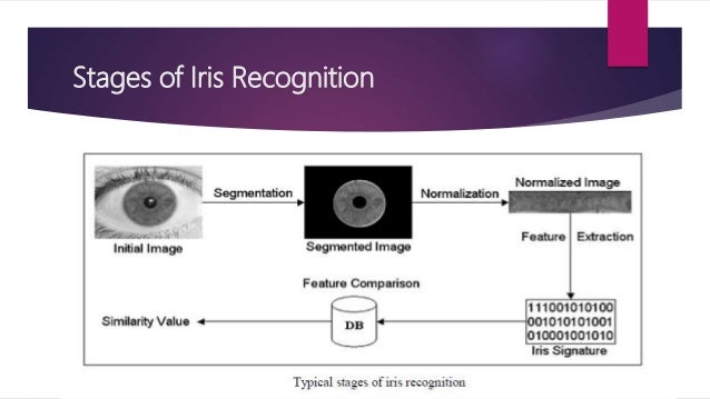 Iris recognition