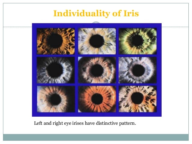 iris recognition