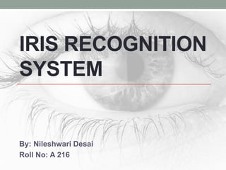 IRIS RECOGNITION
SYSTEM
By: Nileshwari Desai
Roll No: A 216
 