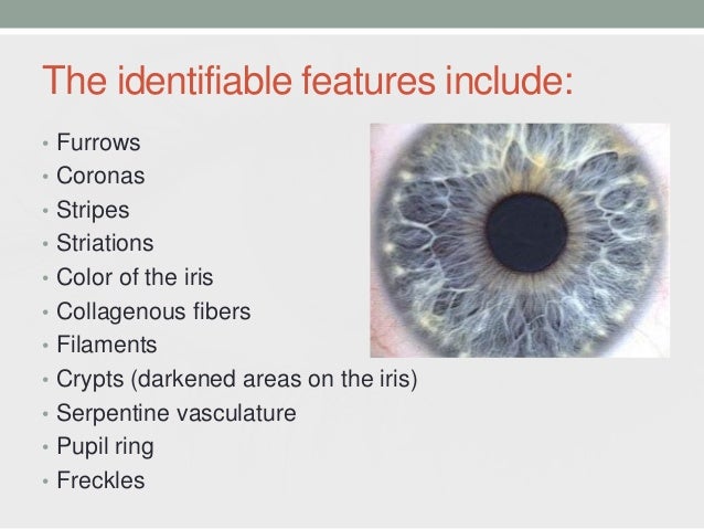 Iris recognition system