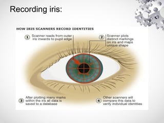 Recording iris:
 