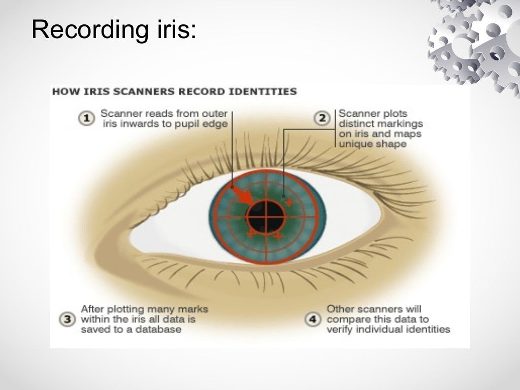 Iris scan.ppt 1