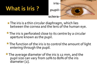 Iris sem