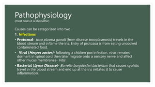 Pathophysiology
(most cases it is Idiopathic)
Causes can be categorized into two
1. Infectious
• Protozoal- toxo plasma gondii (from disease toxoplasmosis) travels in the
blood stream and inflame the iris. Entry of protozoa is from eating uncooked
contaminated food.
• Viral (Herpes zoster)- following a chicken pox infection, virus remains
dormant in spinal cord then later migrate onto a sensory nerve and affect
other mucus membranes- Iritis
• Bacterial (Lyme Disease)- Borrelia burgdorferi bacterium that causes syphilis
travel in the blood stream and end up at the iris irritates it to cause
inflammation.
 