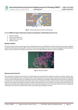 International Research Journal of Engineering and Technology (IRJET) e-ISSN: 2395-0056
Volume: 10 Issue: 12 | Dec 2023 www.irjet.net p-ISSN: 2395-0072
© 2023, IRJET | Impact Factor value: 8.226 | ISO 9001:2008 Certified Journal | Page 11
Fig -2: Bacteria-based autonomous self-healing
2.1.1.1 Different types of bacteria used in autonomous self-healing concrete are:
 Bacillus Subtilis.
 Sporosarcina Pasteurii
 Escherichia coli (E coli)
 Basillus Cohnni
Bacillus Subtilis
One type of bacteria that is commonly used in self-healing concrete is called Bacillus subtilis. This bacteriumisabletoproduce
a mineral called calcite, which can fill in cracks in the concrete and help to restore its structural integrity. Bacillus subtilis is
able to survive in the harsh conditions of concrete, such as its high alkalinity and low nutrient availability.
Fig -3: Bacillus Subtilis
Sporosarcina Pasteurii
The mechanism of Sporosarcina pasteurii in self-healing concrete involves its ability to produce an enzyme called urease.
Urease is able to hydrolyze urea, a compound that is commonly found in urine, to produce ammonia and carbon dioxide. This
process increases the pH of the surrounding environment, making it more alkaline. When Sporosarcina pasteurii is added to
concrete mix, it can remain dormant until cracks appear. Once a crack forms in the concrete, moisture enters andactivatesthe
bacteria. The bacteria then begin to produce urease, which hydrolyzes urea to produce ammonia and carbon dioxide. The
ammonia reacts with carbon dioxide and calcium in the concrete to produce calcium carbonate, which is the main component
of limestone. The calcium carbonate fills in the cracks, effectively healing the concrete.
 