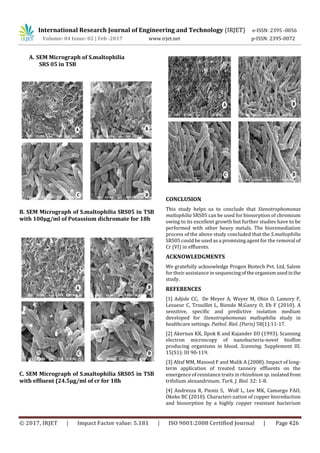Characterization of chromium bioremediation by Stenotrophomonas ...