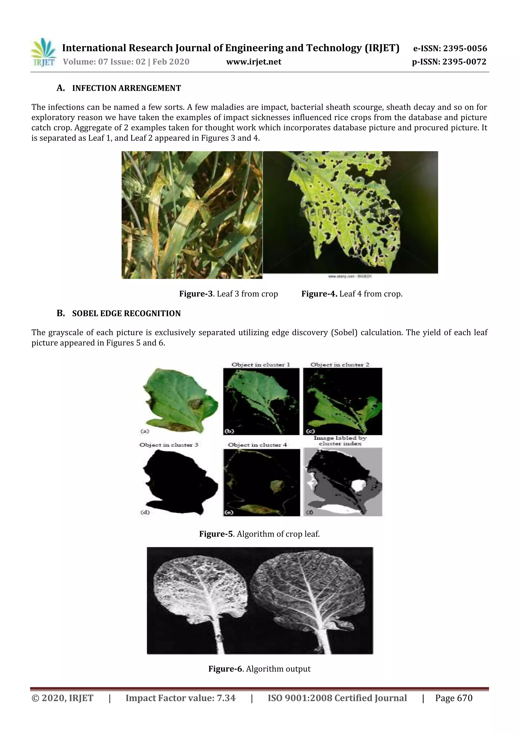 International Research Journal of Engineering and Technology (IRJET) e-ISSN: 2395-0056
Volume: 07 Issue: 02 | Feb 2020 www.irjet.net p-ISSN: 2395-0072
© 2020, IRJET | Impact Factor value: 7.34 | ISO 9001:2008 Certified Journal | Page 670
A. INFECTION ARRENGEMENT
The infections can be named a few sorts. A few maladies are impact, bacterial sheath scourge, sheath decay and so on for
exploratory reason we have taken the examples of impact sicknesses influenced rice crops from the database and picture
catch crop. Aggregate of 2 examples taken for thought work which incorporates database picture and procured picture. It
is separated as Leaf 1, and Leaf 2 appeared in Figures 3 and 4.
Figure-3. Leaf 3 from crop Figure-4. Leaf 4 from crop.
B. SOBEL EDGE RECOGNITION
The grayscale of each picture is exclusively separated utilizing edge discovery (Sobel) calculation. The yield of each leaf
picture appeared in Figures 5 and 6.
Figure-5. Algorithm of crop leaf.
Figure-6. Algorithm output
 