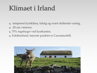  temperert kystklima, fuktig og svært skiftende værlag.
 -20 om vinteren.
 75% regnbyger ved kystkanten.
 Fuktbartland, høyeste punktet er Carrantuohill.
Klimaet i Irland
 