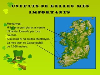 Unitats de relleu més importants   Muntanyes: Hi ha una gran plana, al centre d’Irlanda, formada per roca calcària.  A la costa hi ha petites Muntanyes.  La més gran és  Carrantuohill ,  de 1.038 metres. 