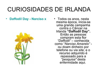 CURIOSIDADES DE IRLANDA Daffodil Day - Narciso x Câncer   Todos os anos, nesta mesma época, inicia-se uma grande campanha contra o Câncer na Irlanda  “Daffodil Day”.  Então as pessoas compram esta flor  “Daffodil”  – conhecida como “ Narciso Amarelo”  - ou doam dinheiro por telefone ou via site; e o recurso adquirido é repassado para a  "pesquisa"  desta enfermidade aqui.  