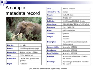 A sample metadata record (U.S. Fish and Wildlife Service Digital Library Systems) Full Color Depth 150 dpi (mid, presentation quality)  Resolution 7.22 x 4.89 inches Print Screen: 1083px x 734px Dimensions JPEG image (image/jpeg) Format 231 KB File size No coverage information exists for this record Coverage No relation information exists for this record Relation November 07 2001 Date.Modified November 07 2001 Date.Issued November 12 2001 Date.Available No description information exists for this record Description Animals Tanzania Subject (general) Audience (public domain) Rights EN - ENGLISH Language DIVISION OF PUBLIC AFFAIRS Contributor U.S. Fish and Wildlife Service Publisher WO/81-007 Source Stolz, M. Gary Creator (none) Alternative Title African elephant Title 