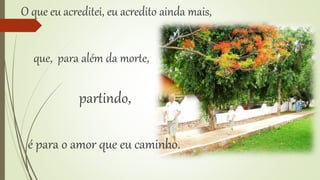 O que eu acreditei, eu acredito ainda mais, 
que, para além da morte, 
partindo, 
é para o amor que eu caminho. 
 
