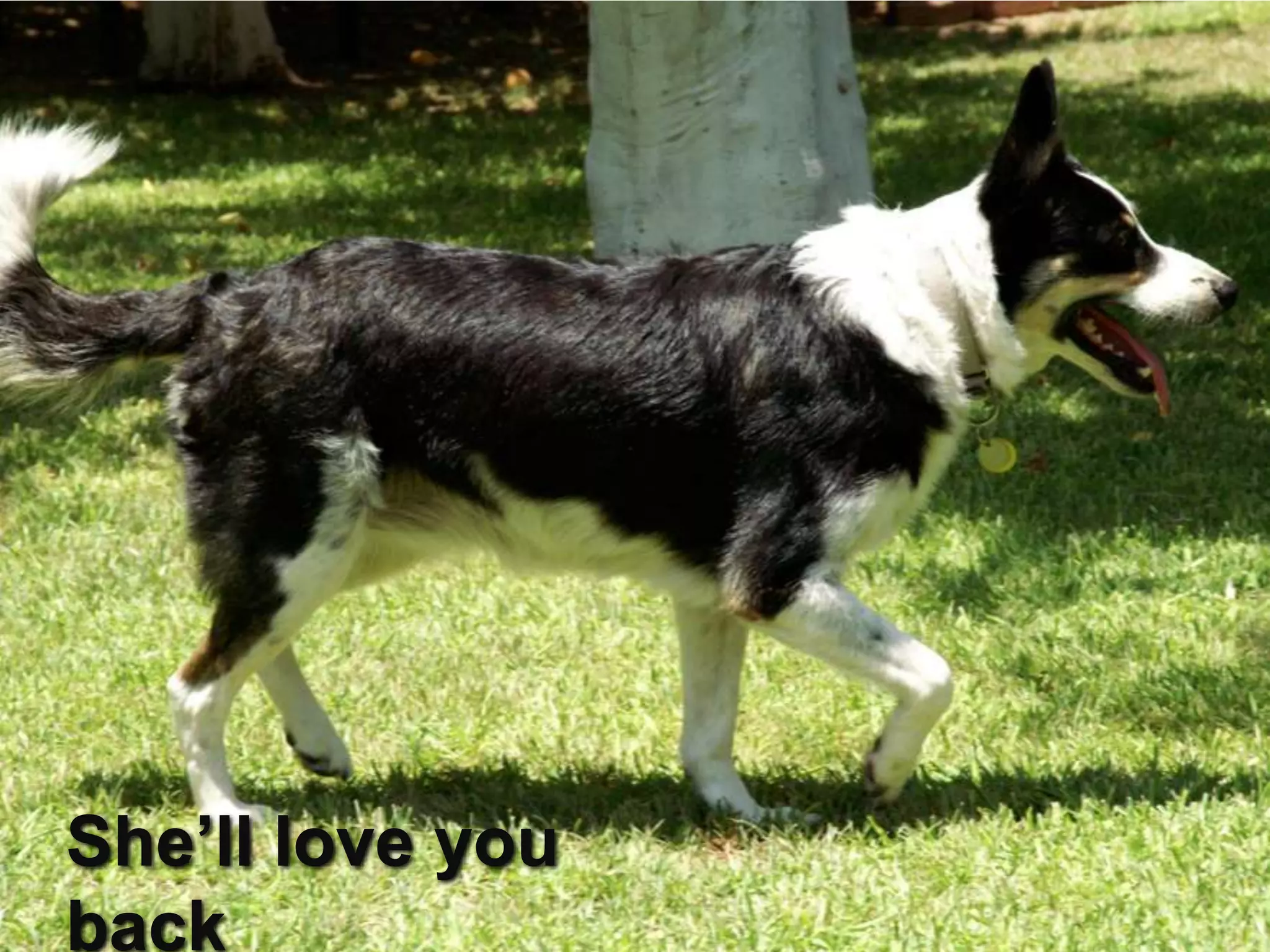 She’ll love you
                  55
back
 