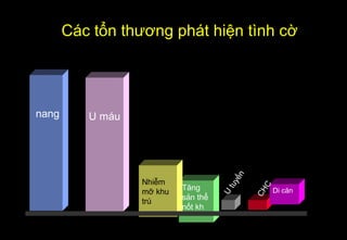 Các tổn thương phát hiện tình cờ
nang U máu
Tăng
sản thể
nốt kh
Nhiễm
mỡ khu
trú
Di căn
CHC
U
tuyến
 