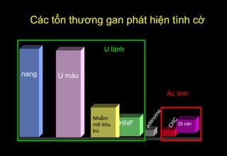 Các tổn thương gan phát hiện tình cờ
nang U máu
HNF
Nhiễm
mỡ khu
trú
Di căn
CHC
adénome
Ác tính
U lành
 