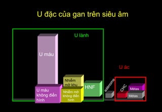 U máu
HNF Métas
CHC
adénome
U ác
U lành
U đặc của gan trên siêu âm
U máu
không điển
hình
Métas
Nhiễm
mỡ khu
trú
Nhiễm mỡ
không điển
hình
 