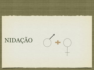 NIDAÇÃO