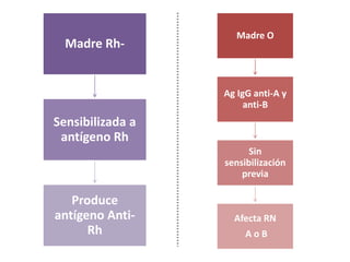 Madre O
  Madre Rh-


                  Ag IgG anti-A y
                       anti-B
Sensibilizada a
 antígeno Rh
                        Sin
                  sensibilización
                      previa

   Produce
antígeno Anti-      Afecta RN
      Rh               AoB
 