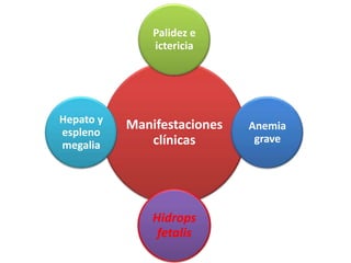 Palidez e
               ictericia




Hepato y   Manifestaciones   Anemia
espleno
              clínicas        grave
megalia




               Hidrops
                fetalis
 