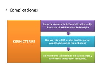 • Complicaciones


                   Capaz de atravesar la BHE con bilirrubina no fija
                      durante la hiperbilirrubinemia fisiológica




                     Una vez rota la BHE se abre también para el
   KERNICTERUS          complejo bilirrubina fija a albúmina



                   Se incrementa la bilirrubina no fija en sangre y
                        aumentar la penetración al encéfalo.
 