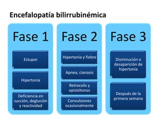 Encefalopatía bilirrubinémica

Fase 1 Fase 2 Fase 3
                      Hipertonía y fiebre
      Estupor                                Disminución o
                                            desaparición de
                                               hipertonía
                       Apnea, cianosis
    Hipertonía
                         Retrocolis y
                         opistótonos
                                             Después de la
   Deficiencia en
                                            primera semana
 succión, deglución     Convulsiones
    y reactividad      ocasionalmente
 