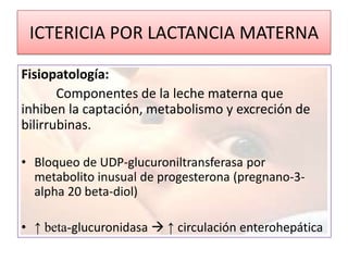 ICTERICIA POR LACTANCIA MATERNA

Fisiopatología:
       Componentes de la leche materna que
inhiben la captación, metabolismo y excreción de
bilirrubinas.

• Bloqueo de UDP-glucuroniltransferasa por
  metabolito inusual de progesterona (pregnano-3-
  alpha 20 beta-diol)

• ↑ beta-glucuronidasa  ↑ circulación enterohepática
 